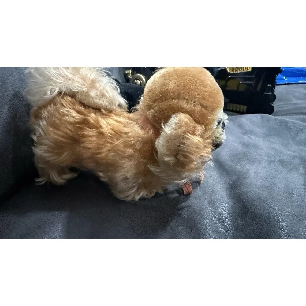 Steiff Mini Black Poodle‎ w/tag And Mini Pekingese Dog Pet Toy Plush